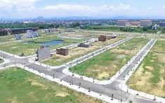 Sốt đất khắp nơi, môi giới đổ xô đi bán đất nền
