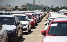 Lượng ô tô nhập khẩu cập cảng Việt trong tháng 3/2021 cao chưa từng thấy