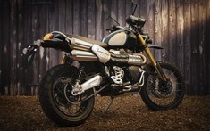 Triumph Scrambler 1200 2021 hé lộ với phiên bản đặc biệt Steve McQueen khá "bảnh"