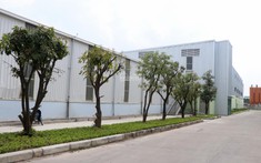Lý giải sức hút cụm công nghiệp của Tập đoàn Amaccao