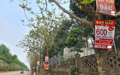 Bài học nào cho những người "mắc kẹt" sau sốt đất?