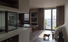 Căn hộ thông phòng của nữ chủ nhân độc thân cùng thú cưng