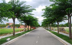 Môi giới kiêm nhà đầu tư lao đao với “sóng đất” đầu năm