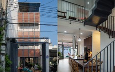 Ngôi nhà nhỏ ở Nha Trang và câu chuyện bảo tồn nghề cá