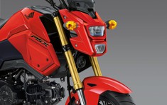 Honda MSX 125 Grom chuẩn bị được ra mắt chính hãng tại Việt Nam?