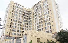 TP.HCM thu hồi 100% nhà công vụ sử dụng sai mục đích, đối tượng