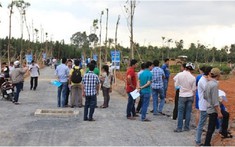 Phó Thủ tướng chỉ đạo xử lý nghiêm các đối tượng đẩy giá đất