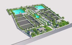 Huyệt mộ - kim tĩnh nghĩa trang cao cấp Phúc An Viên Long An