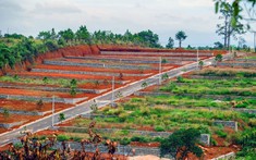 Tạm dừng phân lô tách thửa tại Lâm Đồng