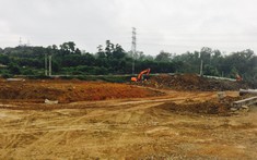 Đất nền giá rẻ hút khách dù dịch bệnh