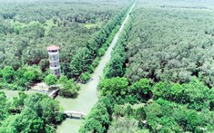 Sắp có khu du lịch sinh thái rộng 2.800ha tại Hậu Giang