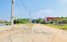 Đất nền vẫn neo giá cao dù đại dịch