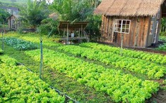 Chuyển đổi đất nông nghiệp sang đất ở: Điều kiện, thủ tục và hồ sơ