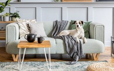 Hướng dẫn cách vệ sinh ghế sofa vải vừa sạch vừa nhanh mà không cần gọi thợ