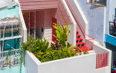 3 giải pháp giúp nhà Sài Gòn 40 năm tuổi thoáng sáng, mát mẻ hơn sau cải tạo
