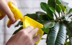 12 chi tiết nhỏ có thể "hủy hoại" ngôi nhà bạn