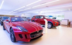 Nhiều hãng xe ô tô tạm đóng cửa showroom tại TP. Hồ Chí Minh để chung tay chống dịch