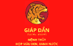 Tuổi Giáp Dần 1974 hợp màu xe gì?
