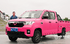 Xem chuyên gia nước ngoài đánh giá Wuling Fighting 2021 - Mẫu bán tải nhỏ gọn, giá rẻ trên 200 triệu đồng