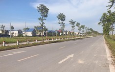 Giữa đại dịch, đất nền phía Bắc lên cơn sốt