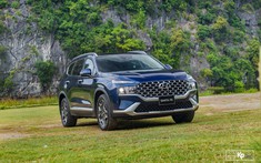 Top 5 thương hiệu xe hơi bán chạy nhất nửa đầu năm 2021 tại Việt Nam