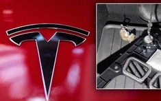 Xe điện Tesla thu hút chuột làm tổ, nhiều xe bị cắn phá thiệt hại cả trăm triệu đồng