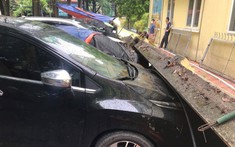 Ô tô gặp nạn bị tường đè cây đổ, chủ xe "bắt đền" ai?