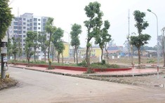 Điểm nóng đất nền: Từ đóng băng đến hồi sinh?