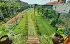 Đất vườn là gì, đất vườn có xây được nhà không?