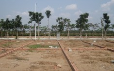 Thị trường lao dốc, giới đầu tư bắt đầu gom đất khi đại dịch Covid-19 hoành hành