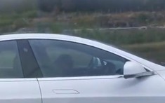 Tài xế say rượu ngủ quên, Tesla Model S tự động chạy chậm và đỗ vào lề đường