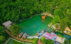 Người trẻ từ bỏ giấc mơ bỏ phố về rừng làm farmstay, “thà ở lại thành phố”