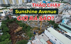 Từng bị khách hàng thanh lý hợp đồng vì chậm tiến độ, dự án Sunshine Avenue giờ ra sao?