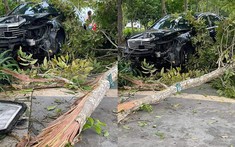 Quảng Ninh: Mercedes-Benz S-Class lao lên vỉa hè, tông gãy nhiều cây xanh