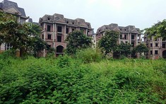 Hà Nội chấm dứt dự án đầu tư, thu hồi đất do không đưa vào sử dụng
