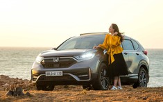 HVN bán 1.257 xe trong tháng 7, Honda CR-V chiếm hơn 57% doanh số