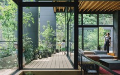 Ngôi nhà Nhật yên bình được bao quanh bởi cây xanh