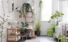 Thiết kế phòng tắm Bohemian tạo cảm giác thư giãn tối đa