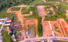 Phú Quốc: Đất nông nghiệp từ 300m2 trở lên sẽ được tách thửa