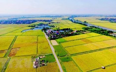 6 trường hợp sẽ được hỗ trợ việc làm khi Nhà nước thu hồi đất