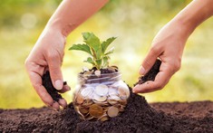 Giấy tờ hợp lệ thu tiền sử dụng đất được giao không đúng thẩm quyền?