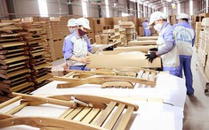 Xuất khẩu gỗ và các sản phẩm gỗ vẫn tăng trưởng bất chấp Covid-19
