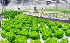 Điều kiện, thủ tục, hồ sơ xin cấp đất làm trang trại 2021