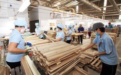 Tháng 8/2021: Xuất khẩu gỗ giảm mạnh