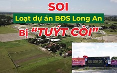 Soi loạt dự án bất động sản bị tỉnh Long An “tuýt còi”