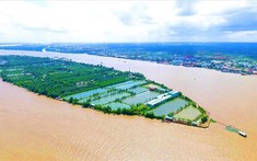 Doanh nghiệp “buông” hai dự án đô thị hơn 3.000 tỉ đồng ở Cần Thơ