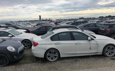 Video: Gần 3.000 chiếc BMW và Mini chưa sử dụng nằm "dầm sương, dãi nắng"suốt hơn 6 năm