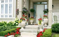 Vị trí đặt cây cảnh trong nhà hút tài lộc, may mắn