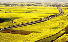 Thu hồi đất nông nghiệp, bồi thường như thế nào?