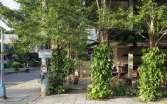 Quán cafe 3 tầng như khu vườn nhỏ xinh gây sốt tại phố cổ Hội An